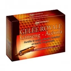 API CONSEILS GELEE ROYALE GINSENG-ACEROLA 20 AMPOULES